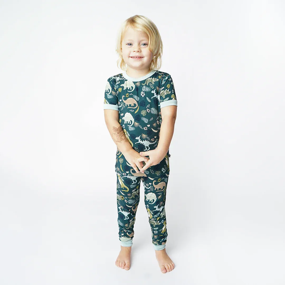 Prehistoric Friends Dinosaur Two-Piece Bamboo Kids Pajama Pants Set